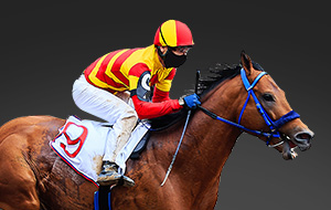 Flight Stakes Racing Tips